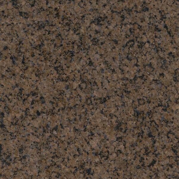 Tropic Brown